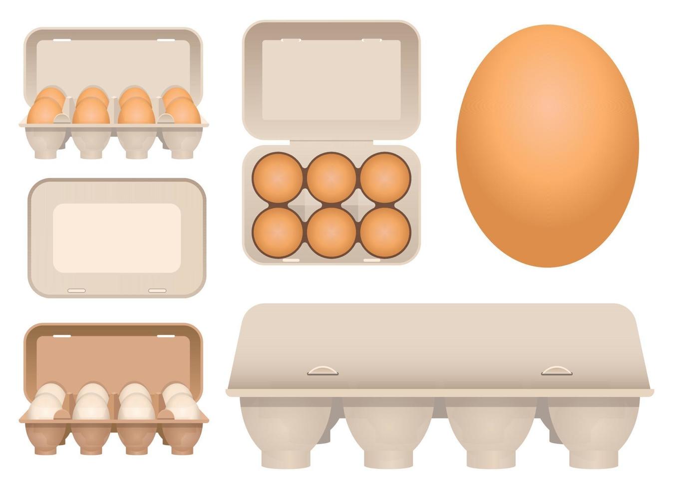 Huevos de gallina en cartón conjunto de ilustraciones de diseño vectorial aislado sobre fondo blanco. vector