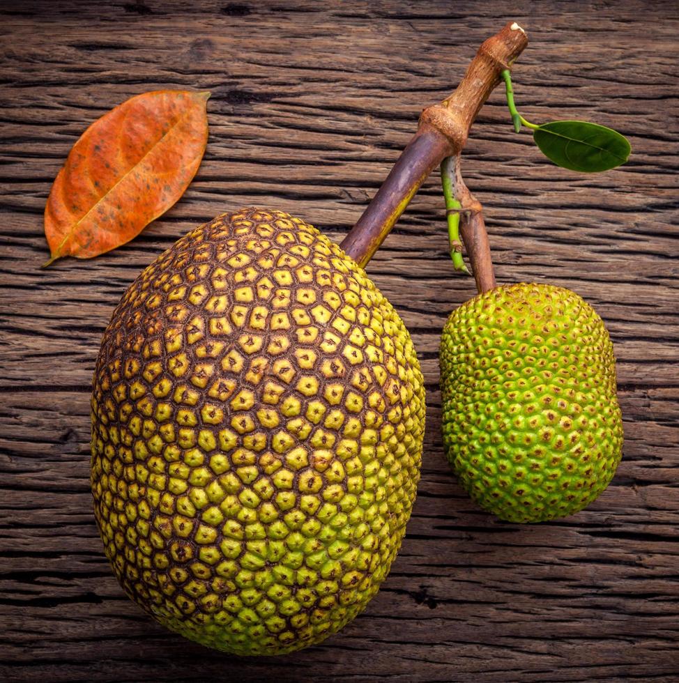 Sweet jack fruit photo