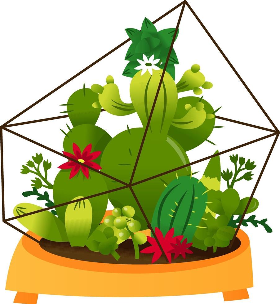 Cactus Terrarium Pot vector