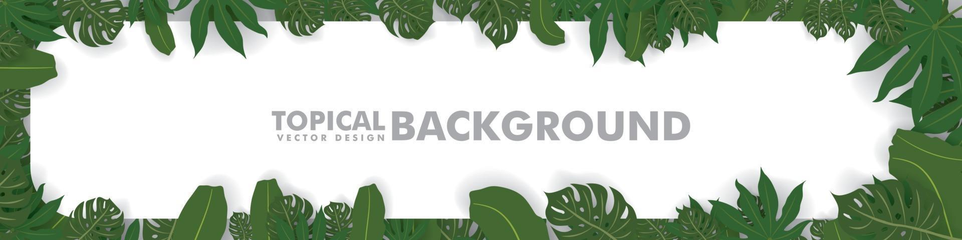 Frame made of fresh green tropical leaves on white background. Space for design or text. vector