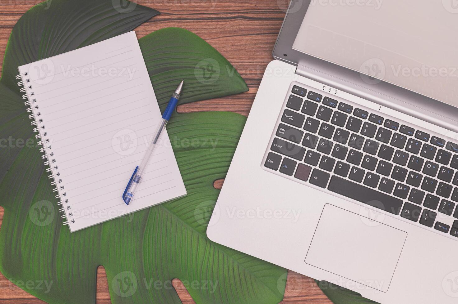 Laptop, notebook and pen on a wooden table with a green leaf photo