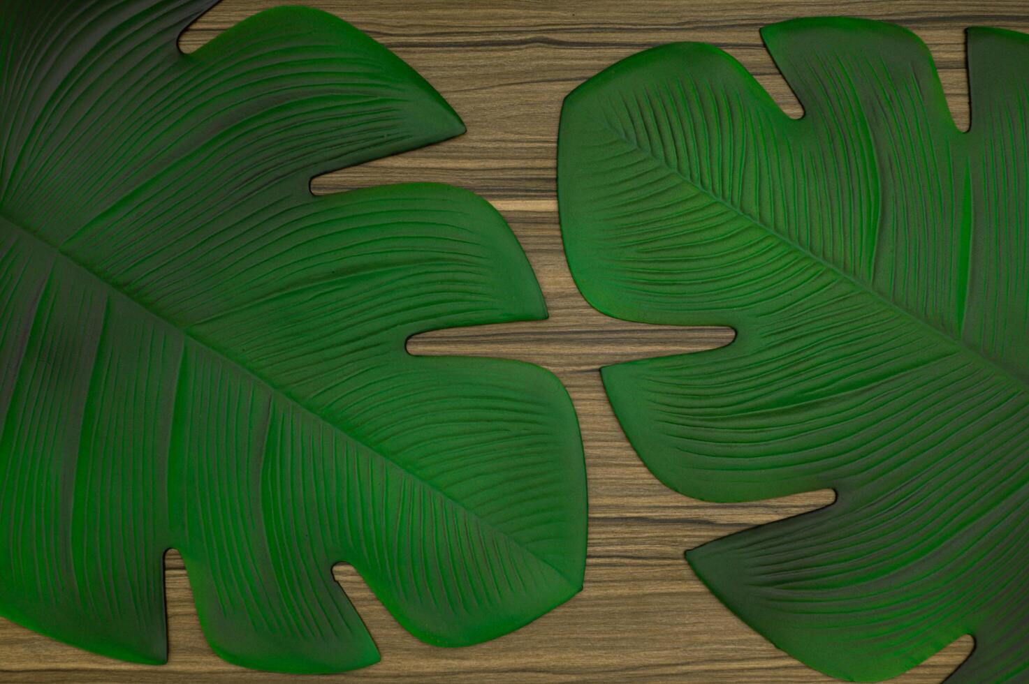 Patterned leaves on the table photo