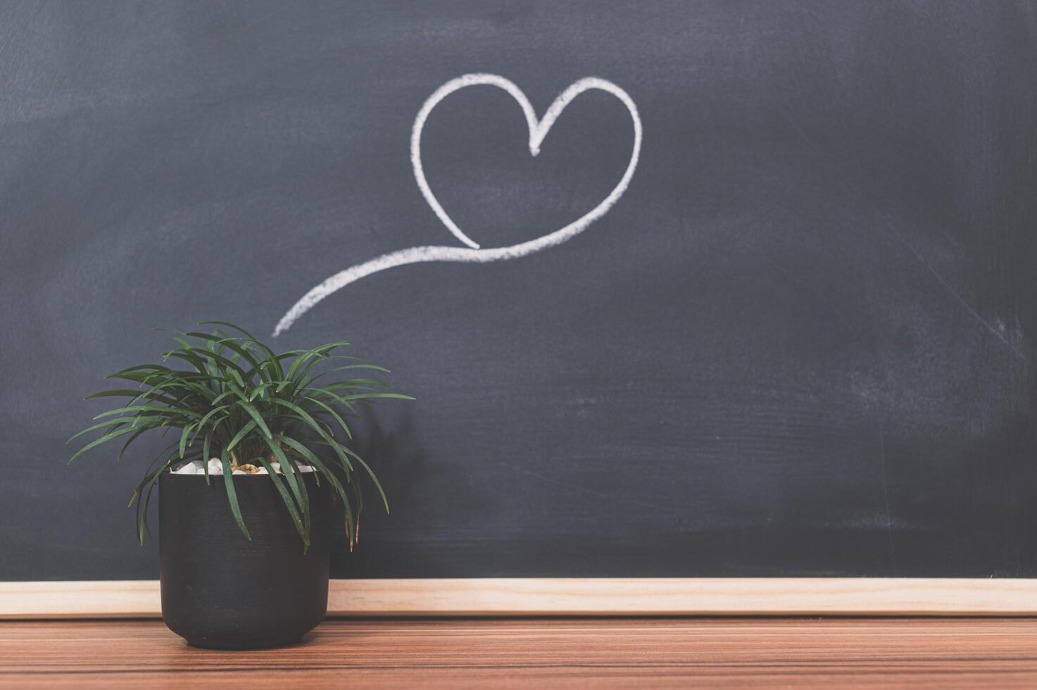 Plant pot and heart doodle on the blackboard photo