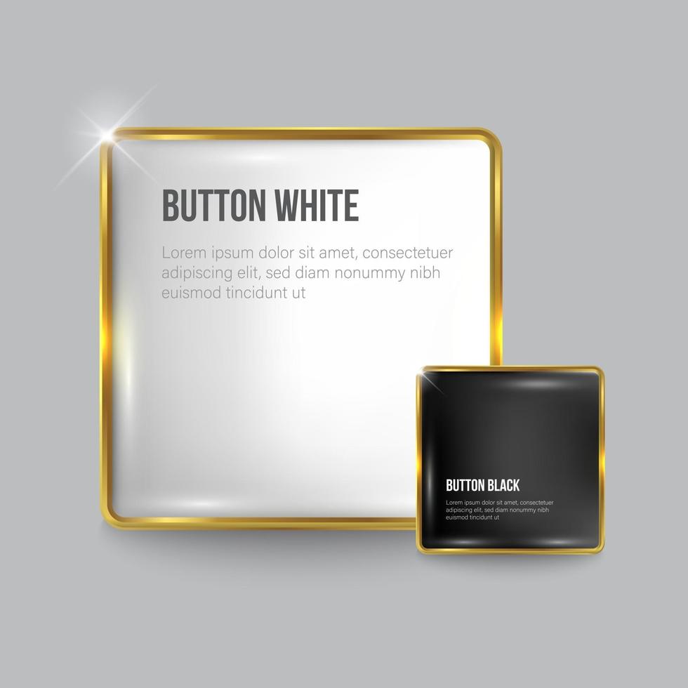 Glossy white and black web Button set with gold borders vector