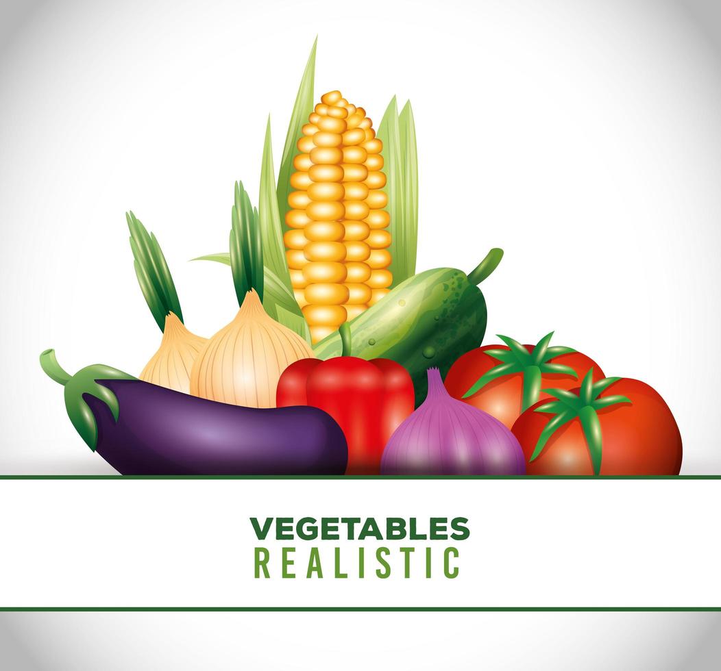 fresh organic vegetables, healthy food, healthy lifestyle or diet vector