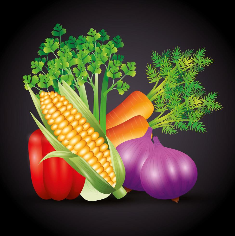 fresh organic vegetables, healthy food, healthy lifestyle or diet on black background vector