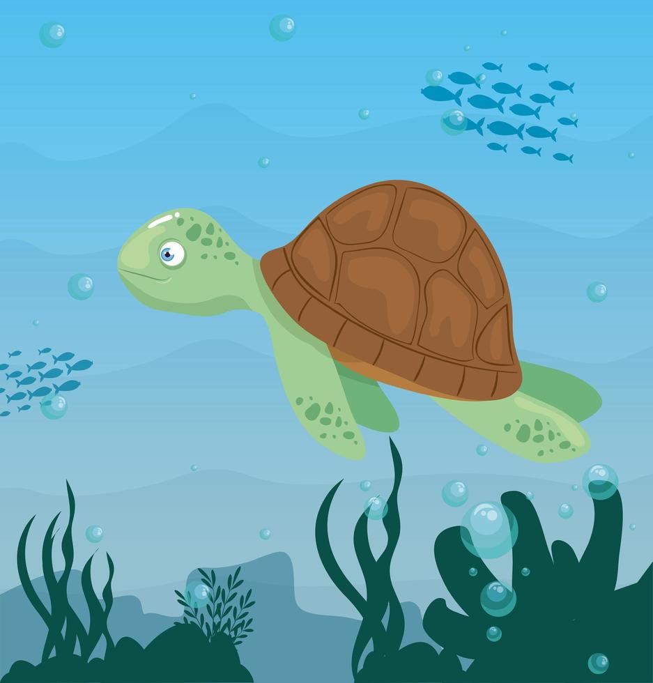 turtle in the ocean, sea world dweller, cute underwater creature vector