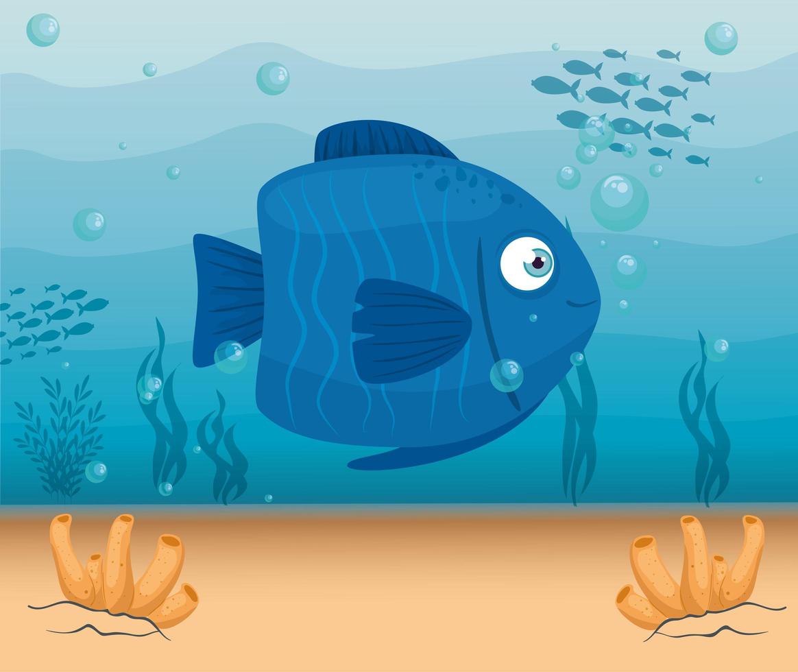 cute fish in the ocean, sea world dweller, cute underwater creature vector