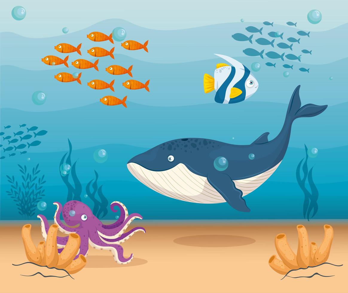 Sea life background vector