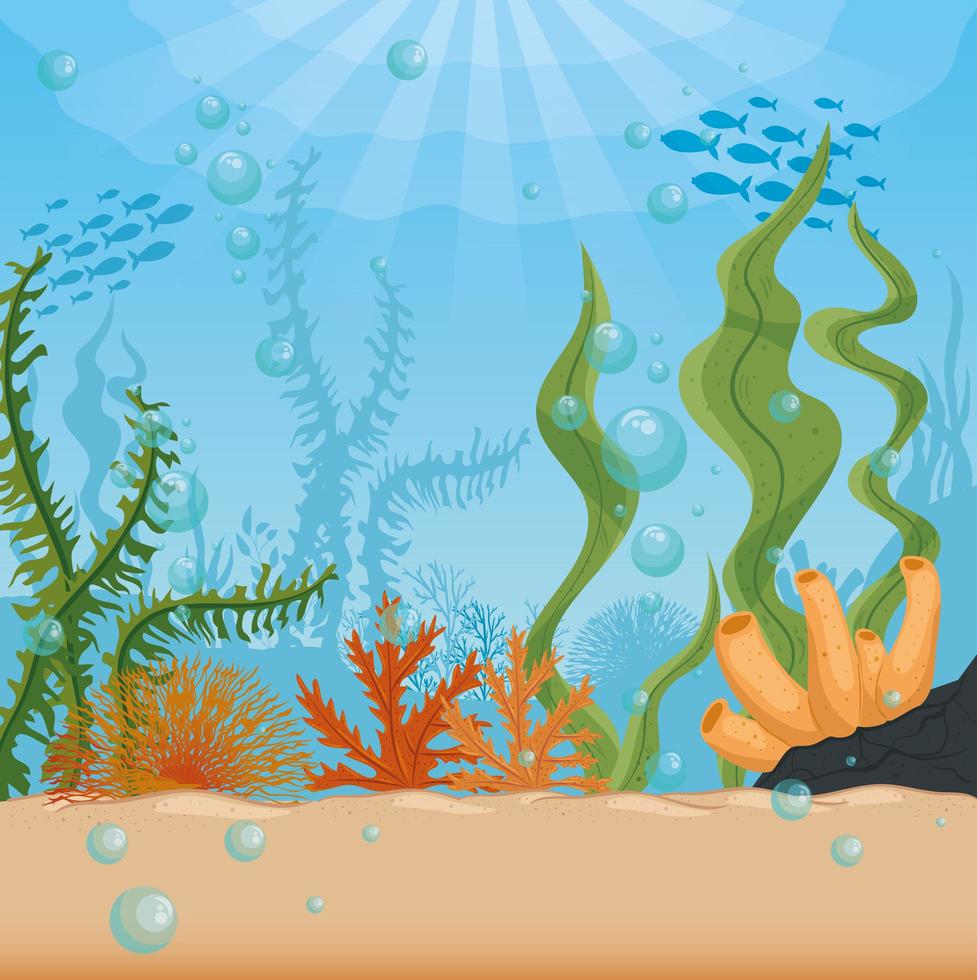 underwater background with algae and coral reef vector