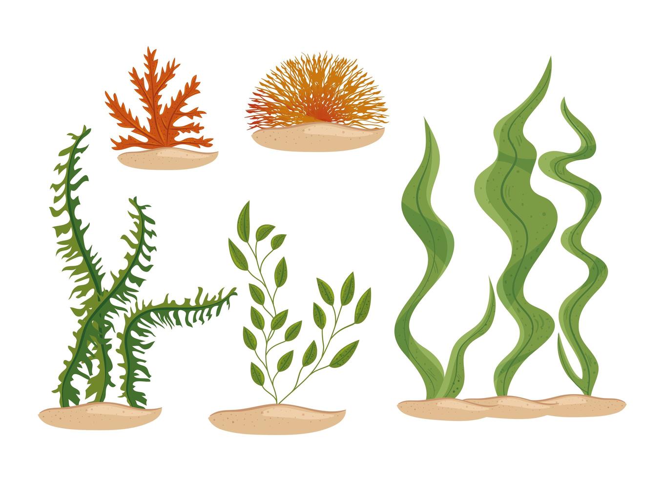 seaweeds icon set vector. seaweeds icon set. 