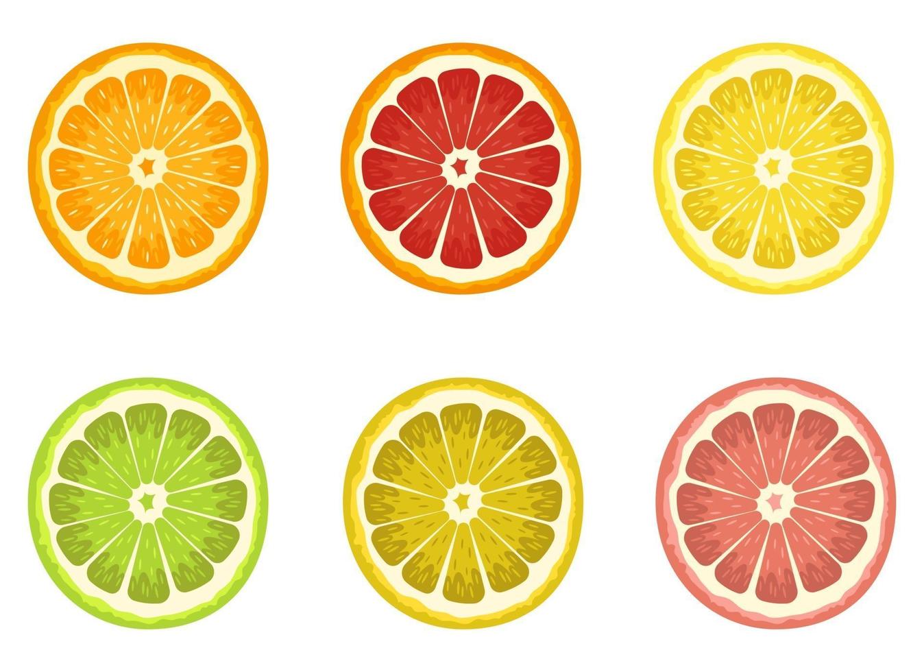 Set of citrus vector design illustration set isolated on white background