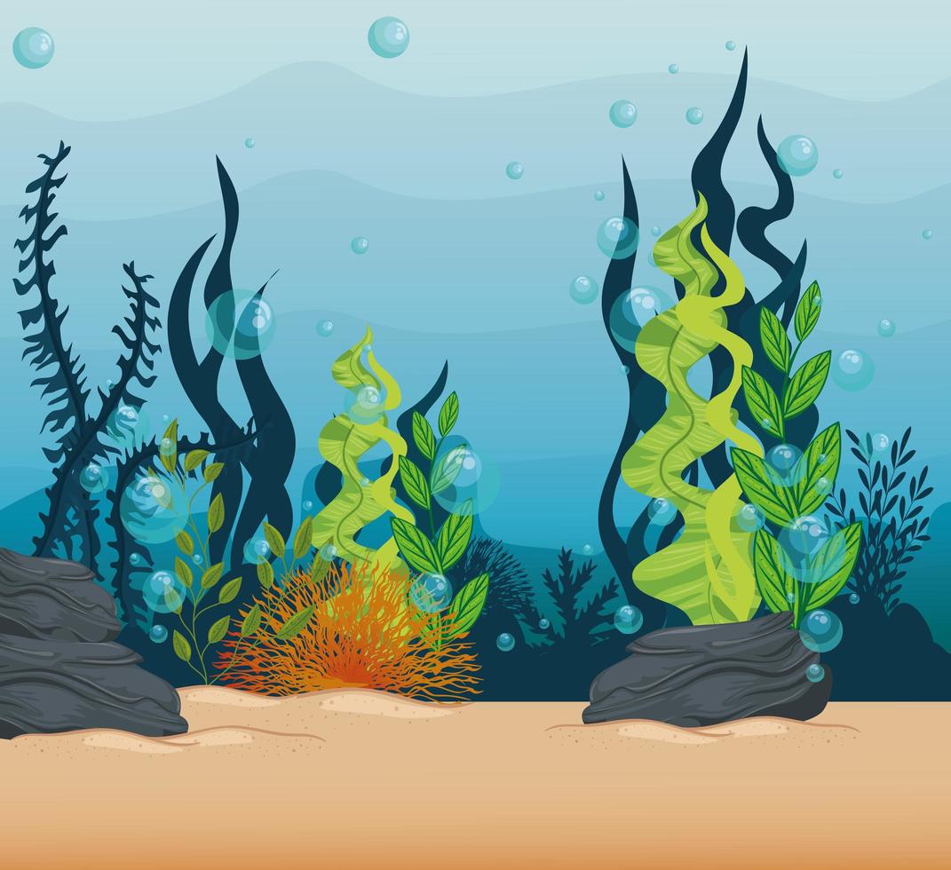 underwater background with algae and coral reef vector