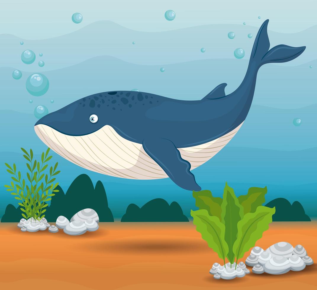 ballena azul en el océano, habitante del mundo marino, linda criatura submarina vector