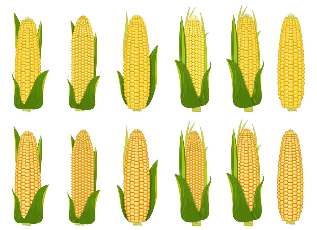 Corn vector design  illustration set isolated on white background