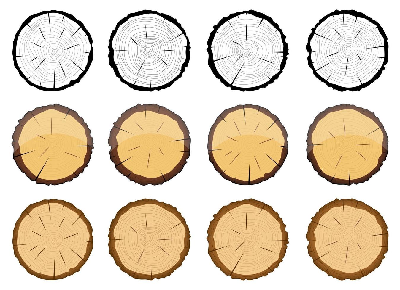 Sección transversal del conjunto de ilustración de diseño de vector de árbol de madera aislado sobre fondo blanco