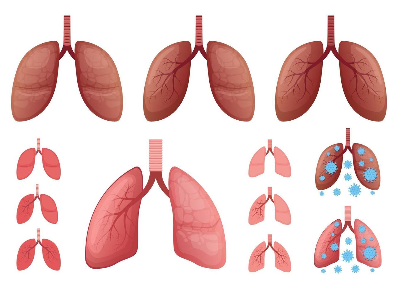 Conjunto de ilustración de diseño de vector de pulmones aislado sobre fondo blanco