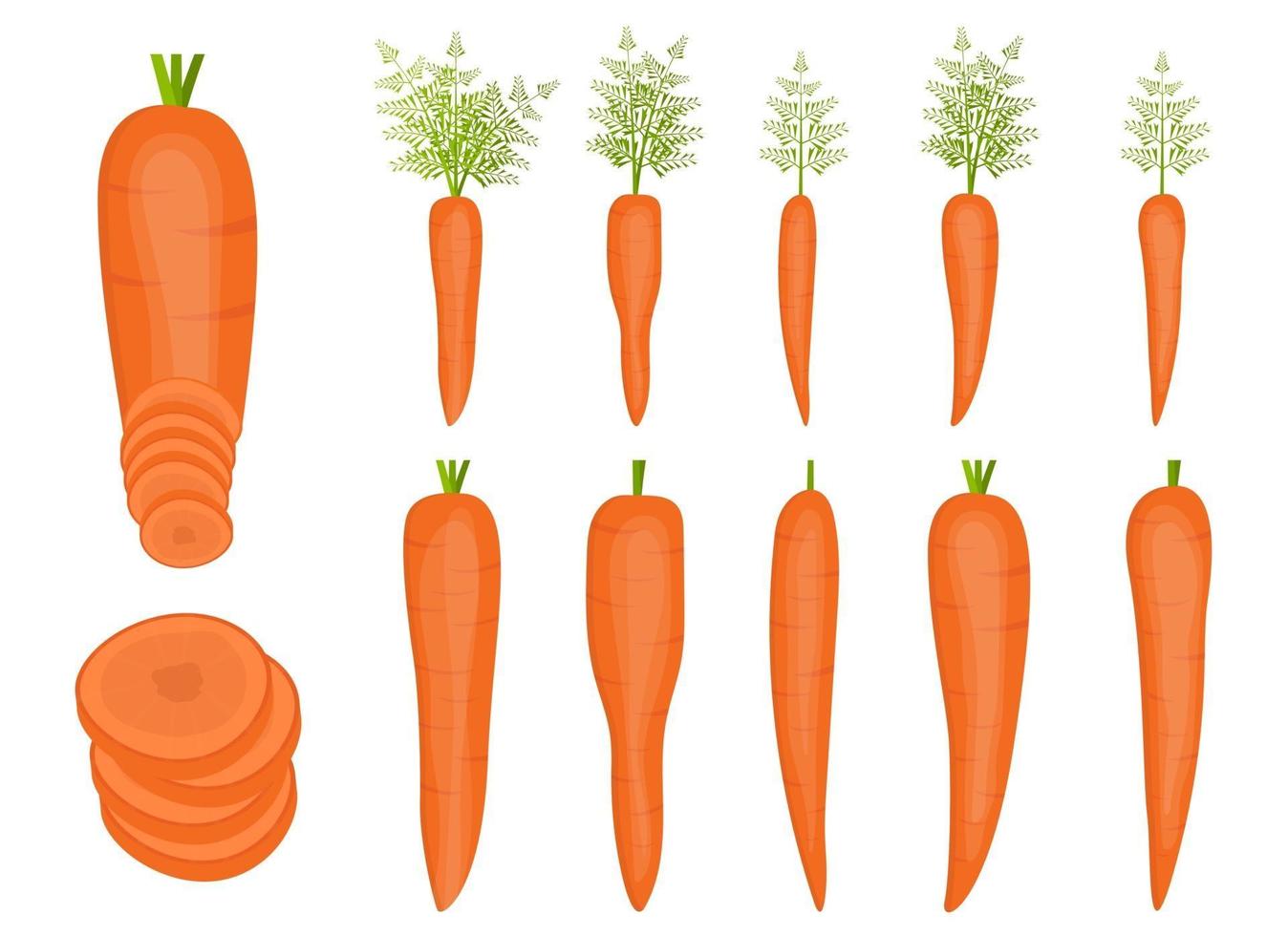 Fresh carrot vector design illustration set isolated on white background