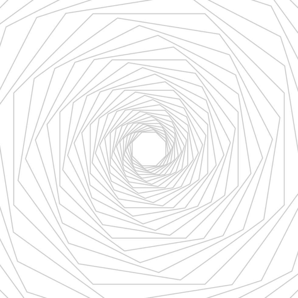 Gray octagon geometric line art on white background. Vector illustrator
