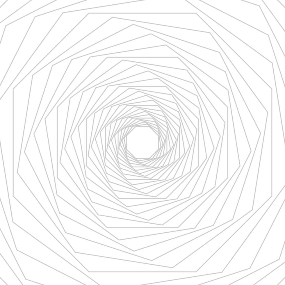 Gray octagon geometric line art on white background. Vector illustrator