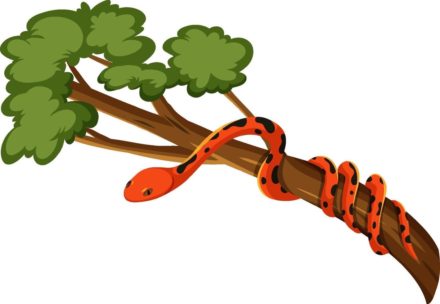 Snake on a branch isolated on white background vector