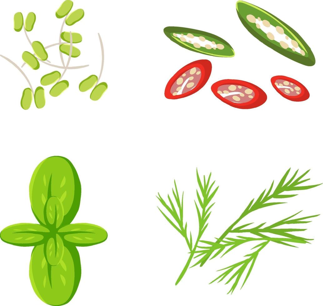 Set of herb for food decoration vector