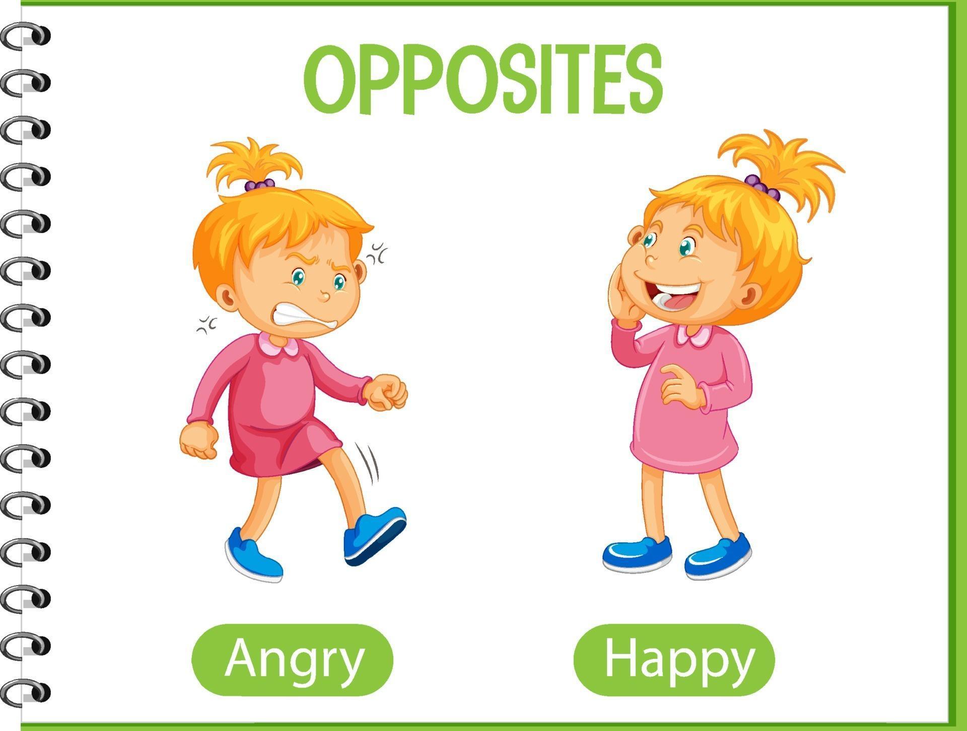 what is the opposite of angry what is the opposite of angry
