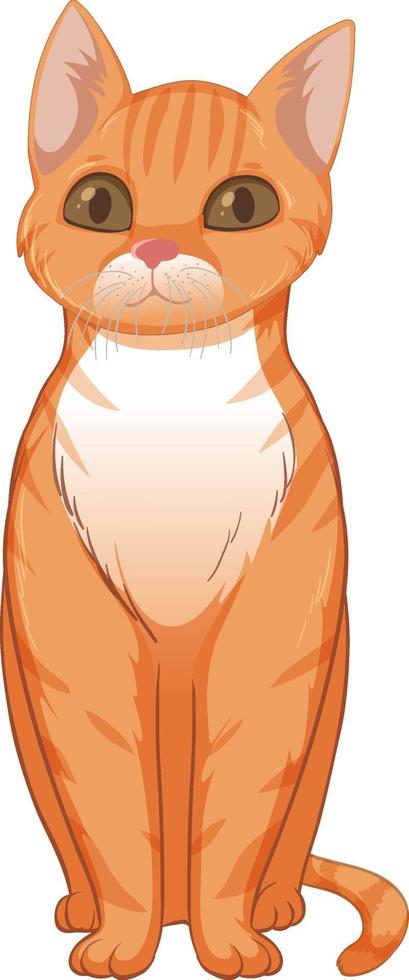 Lindo gato naranja sentado solo aislado sobre fondo blanco. vector