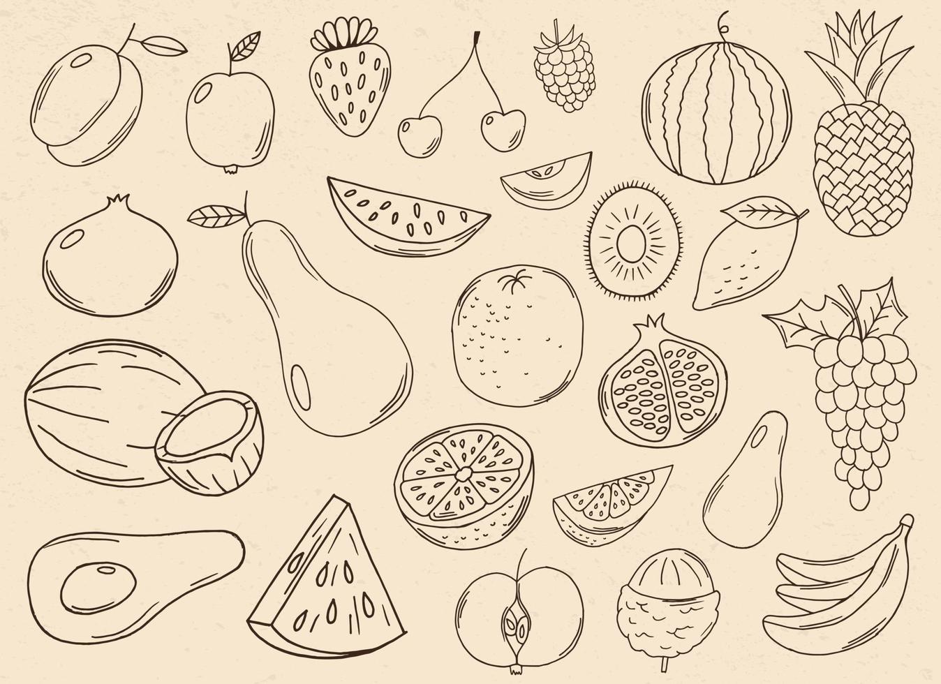 Ilustración de diseño de vector de colección de frutas dibujadas a mano aislado sobre fondo