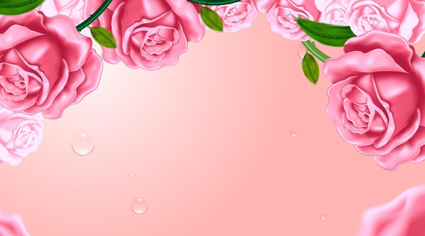 Roses in the pink background vector