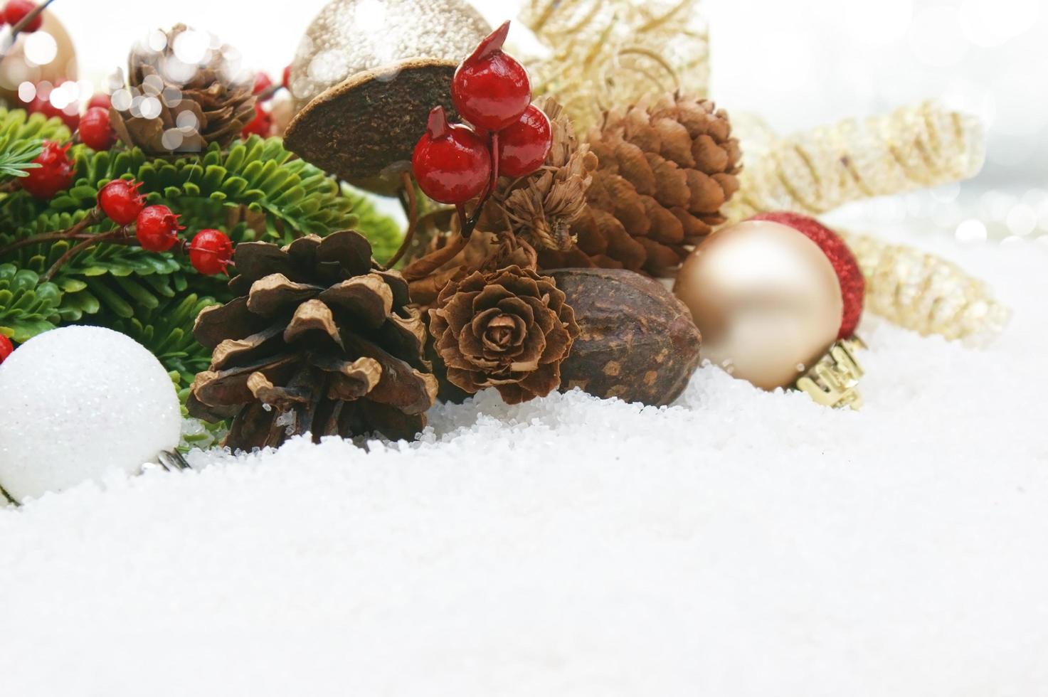 Christmas garland in snow photo