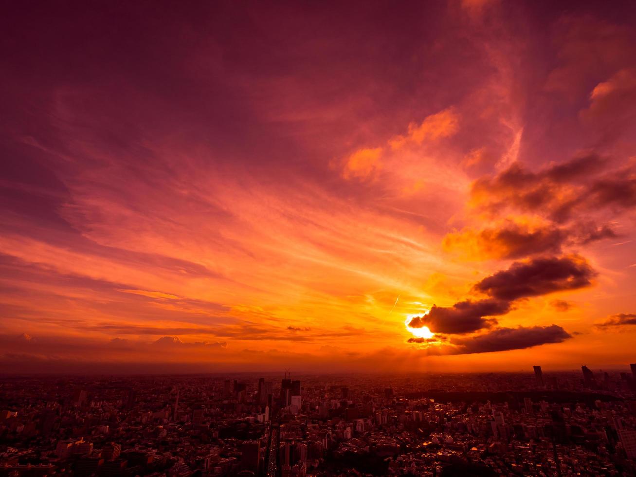 Aerial view of Tokyo city at sunset photo