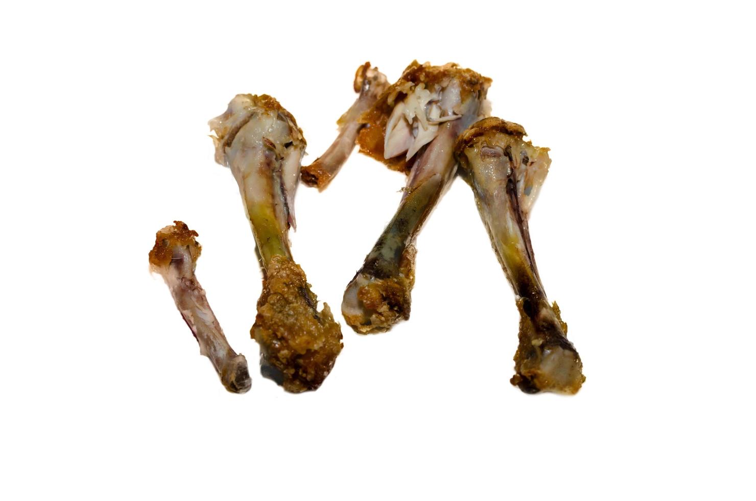 Chicken bones isolated on a white background photo