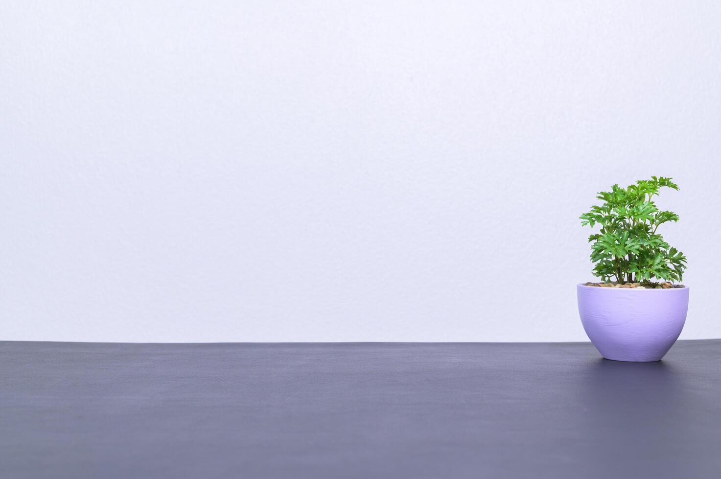 Plant pot on the table photo