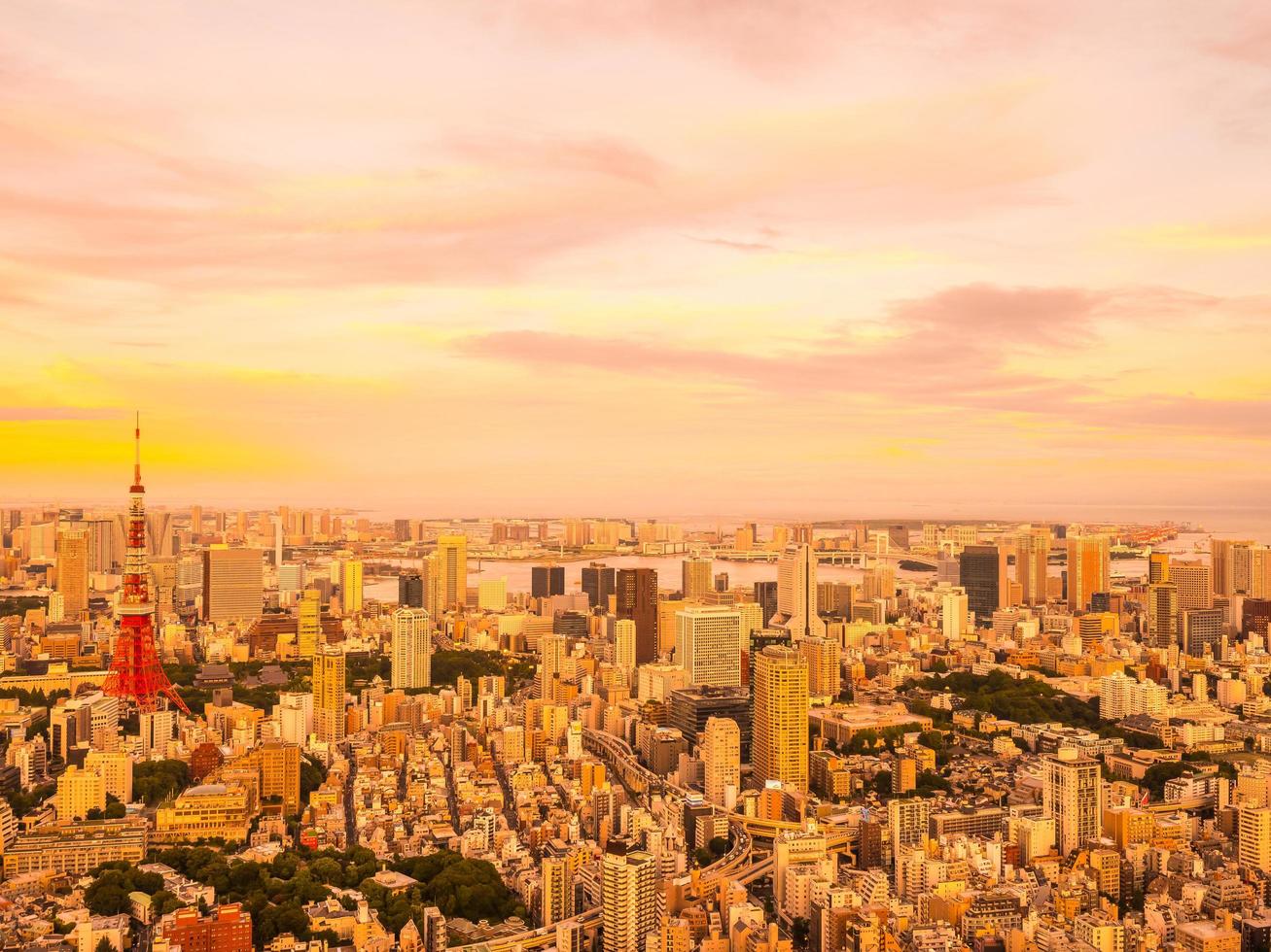 Aerial view of Tokyo city at sunset photo