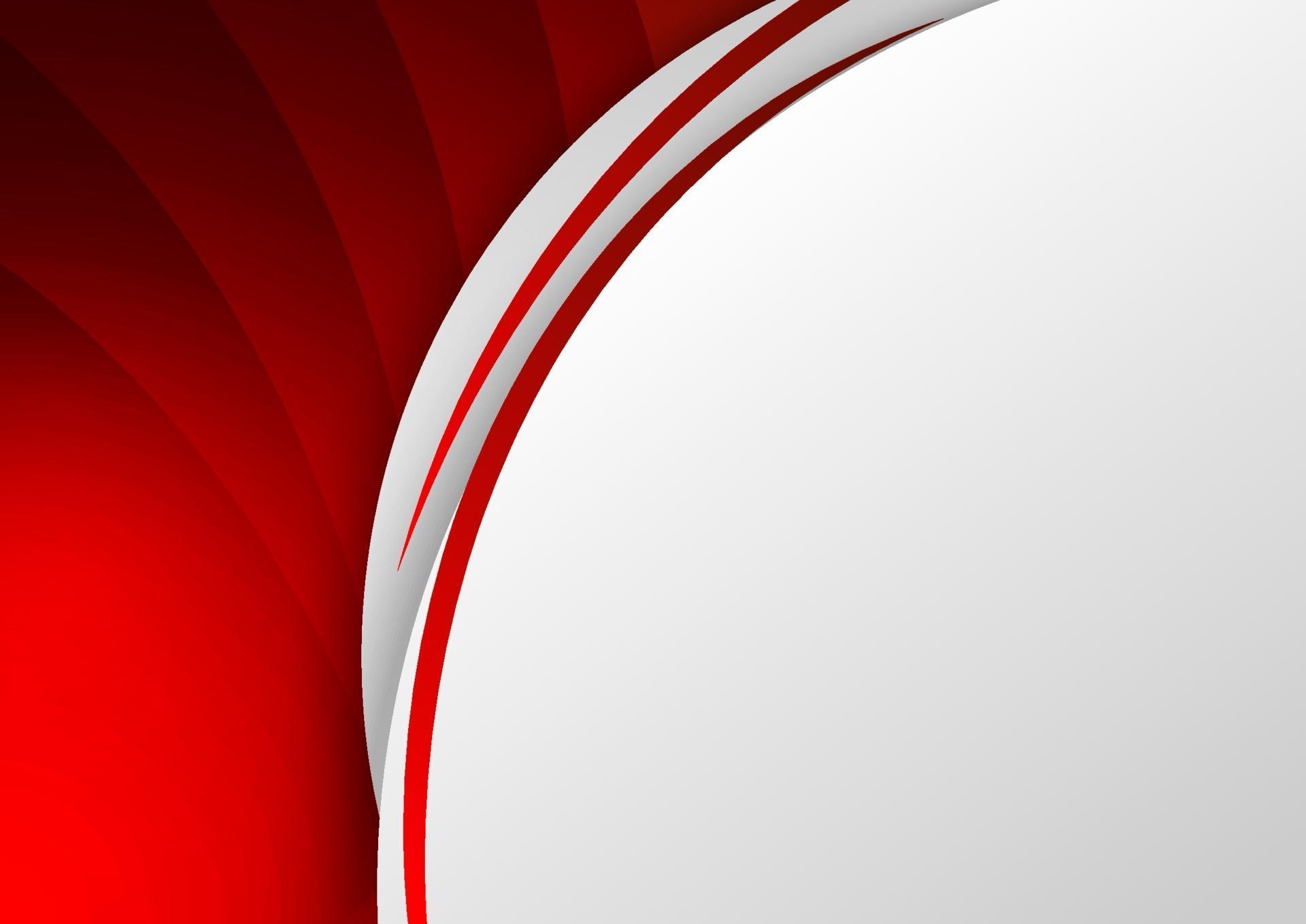 Abstract template red background curve line on white space with shadow