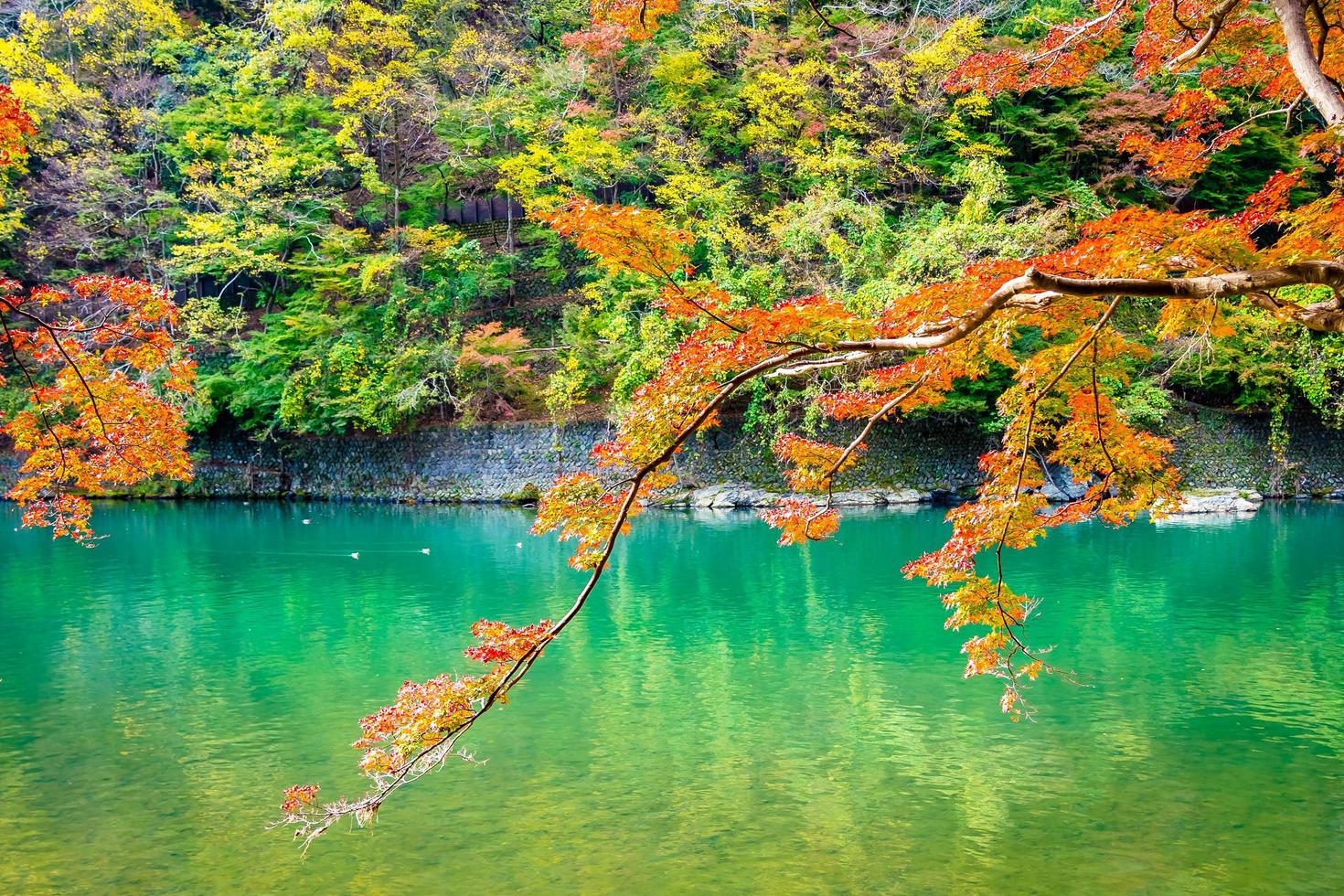 Hermoso río Arashiyama en Kioto, Japón foto