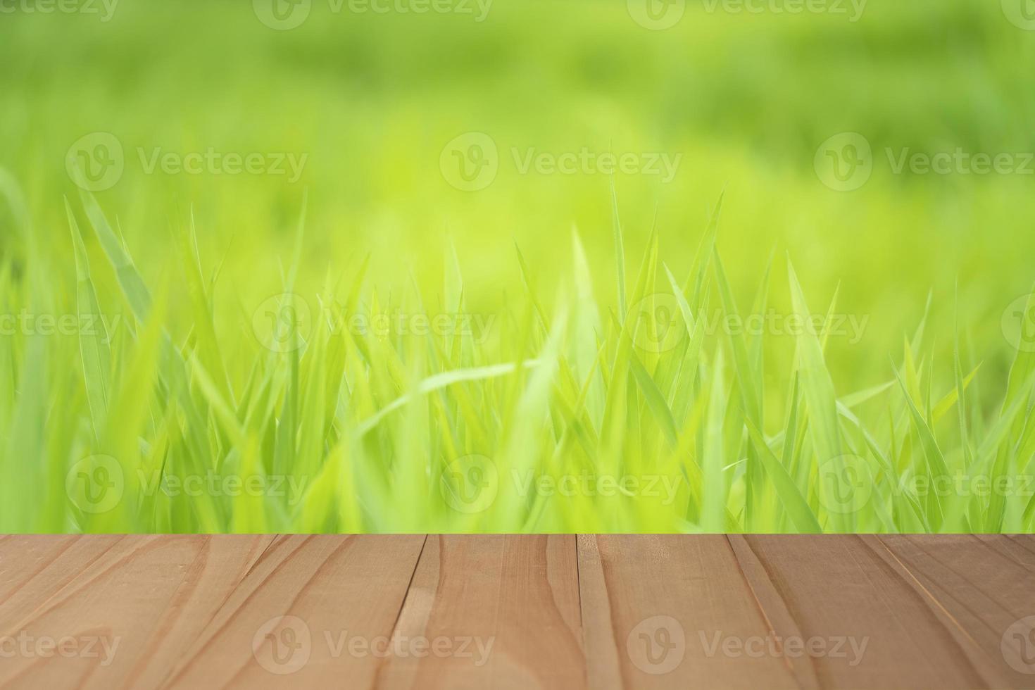 Tablero de madera con fondo de hierba borrosa para mostrar foto