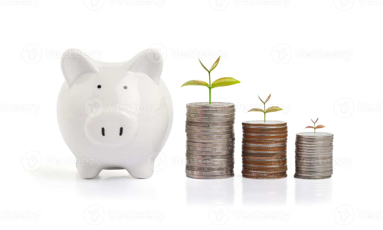 White piggy bank with stacks of coins on white background photo