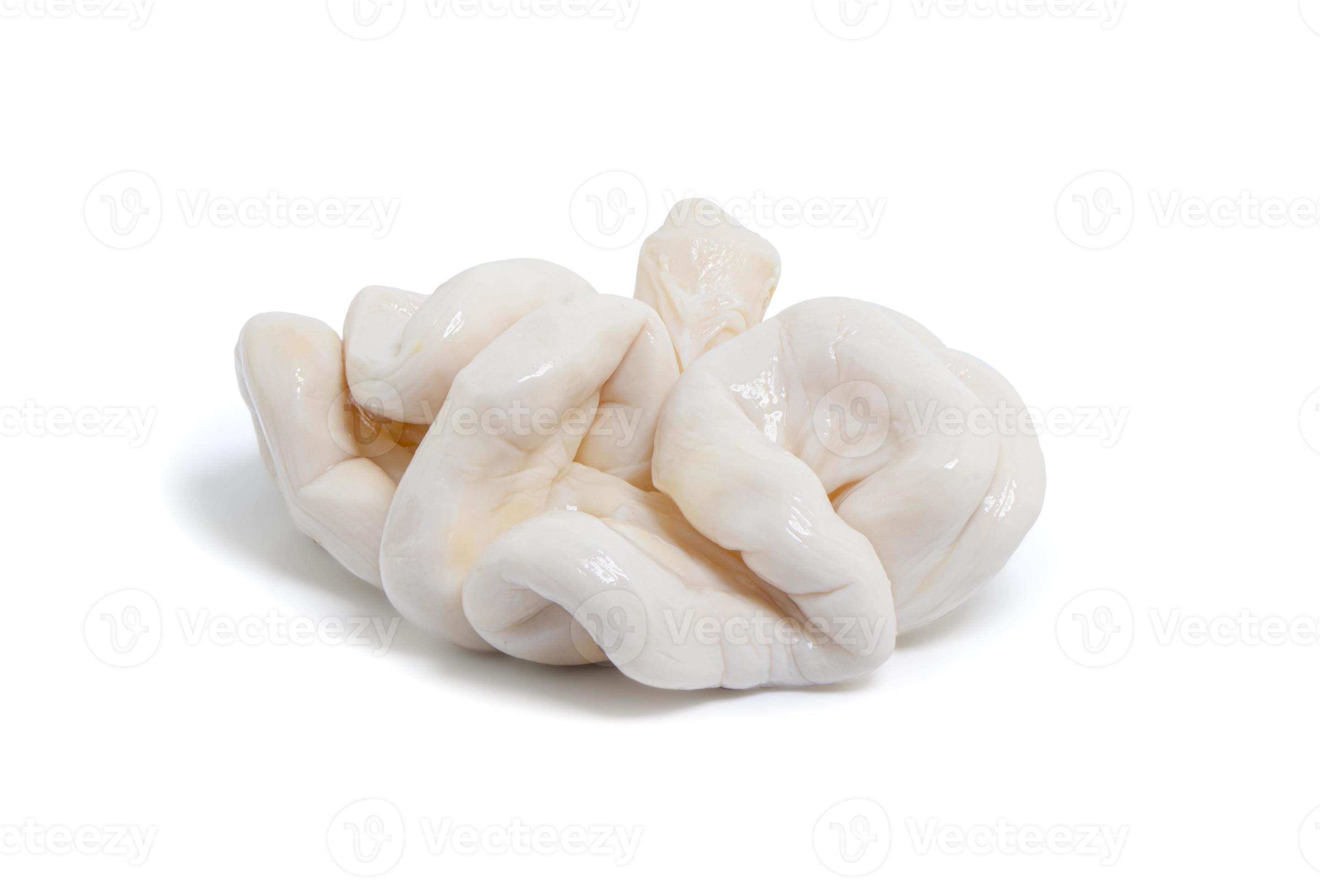 https://static.vecteezy.com/system/resources/previews/002/009/161/large_2x/pork-small-intestine-or-chitterlings-on-white-background-photo.jpg