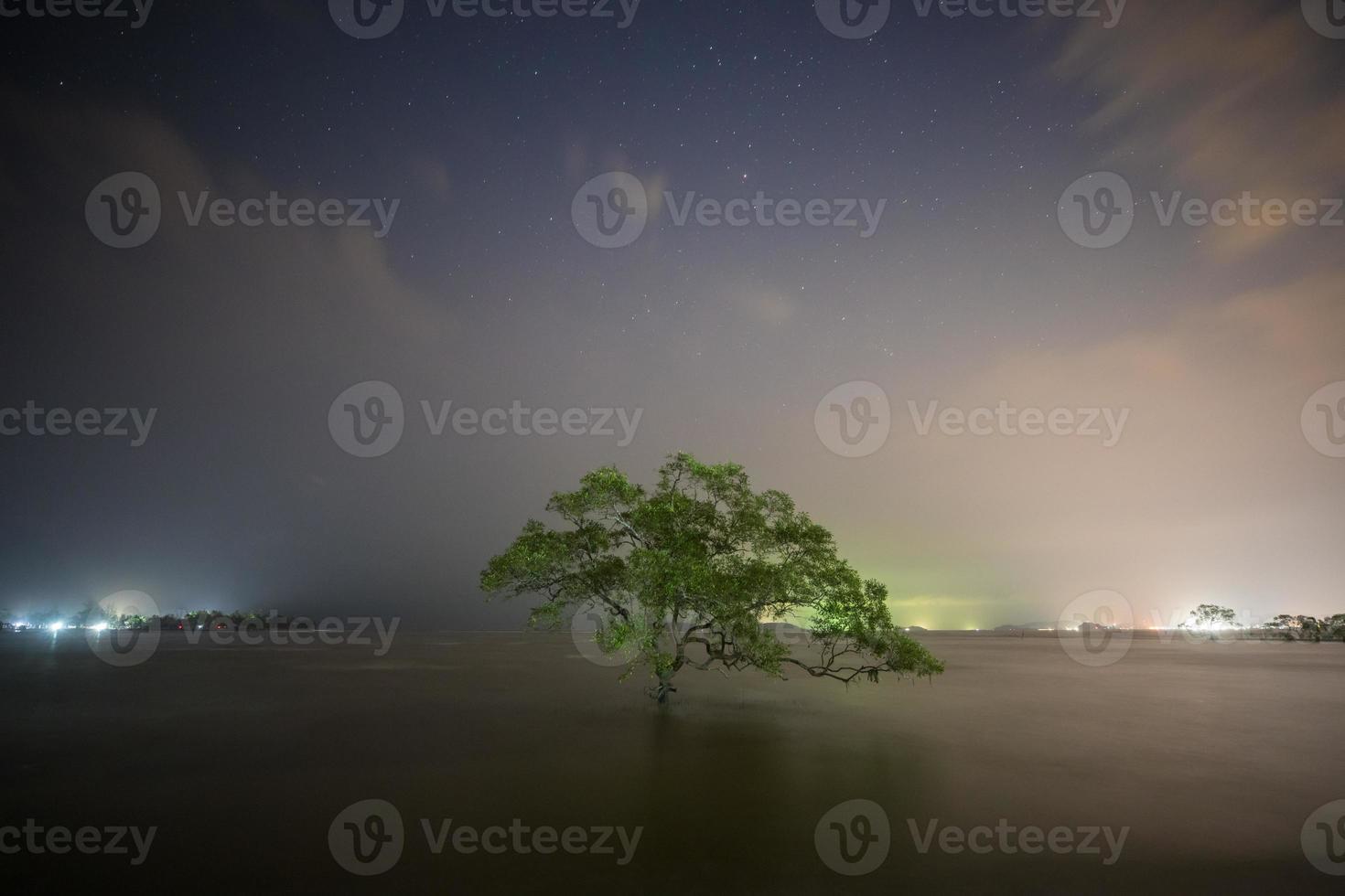 árbol con estrellas y luces de la ciudad. foto