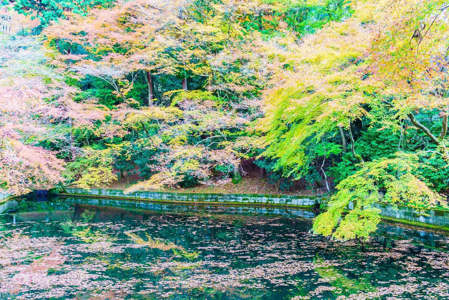 Autumn season in Japan photo