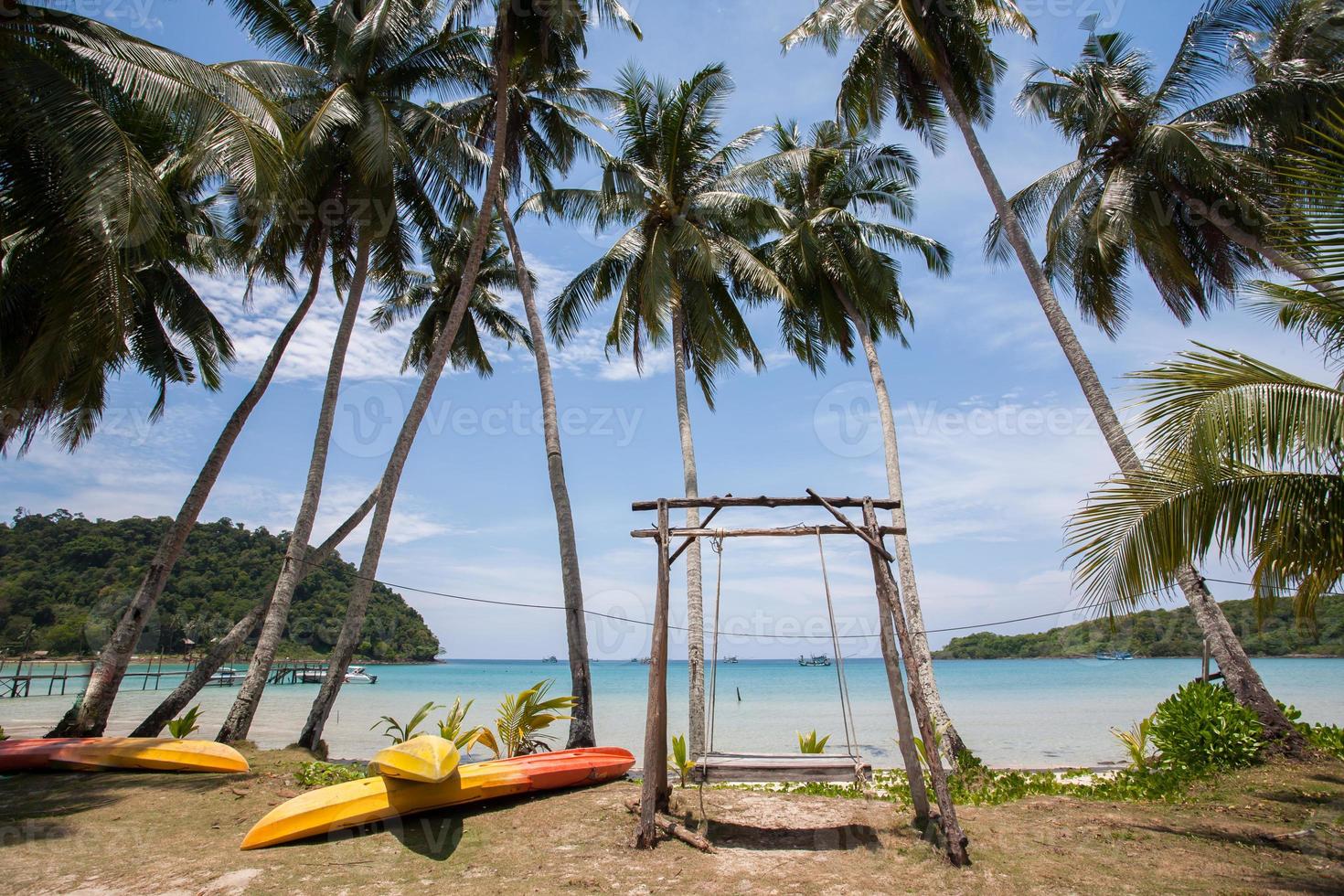 Swing on a beach photo