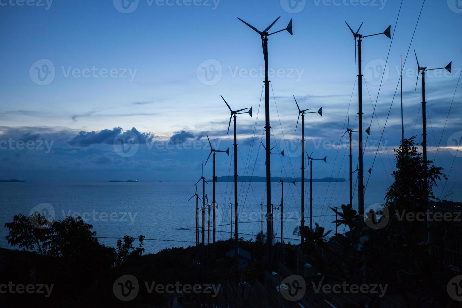 Silhouettes of trees and wind turbines photo