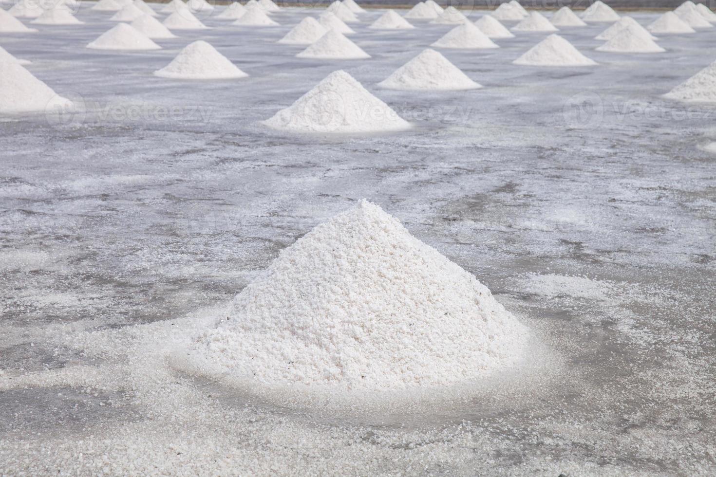 Salt farm field photo