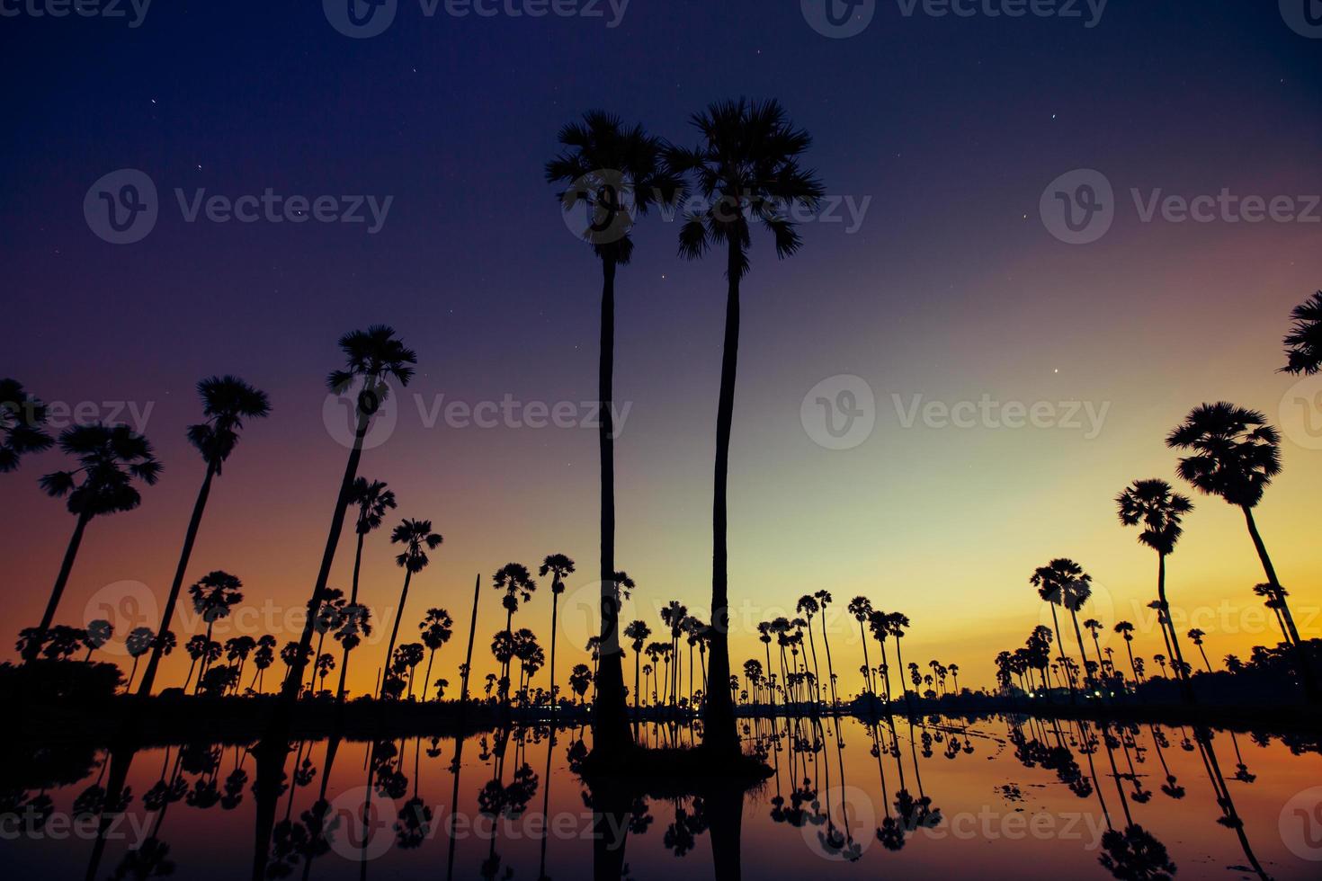 puesta de sol con palmeras foto