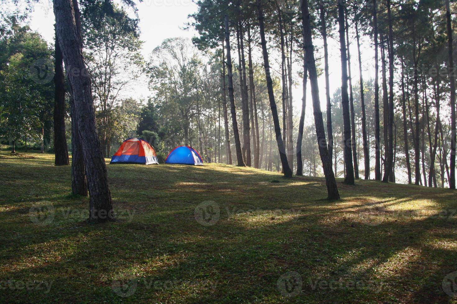 Camping tents on green grass photo