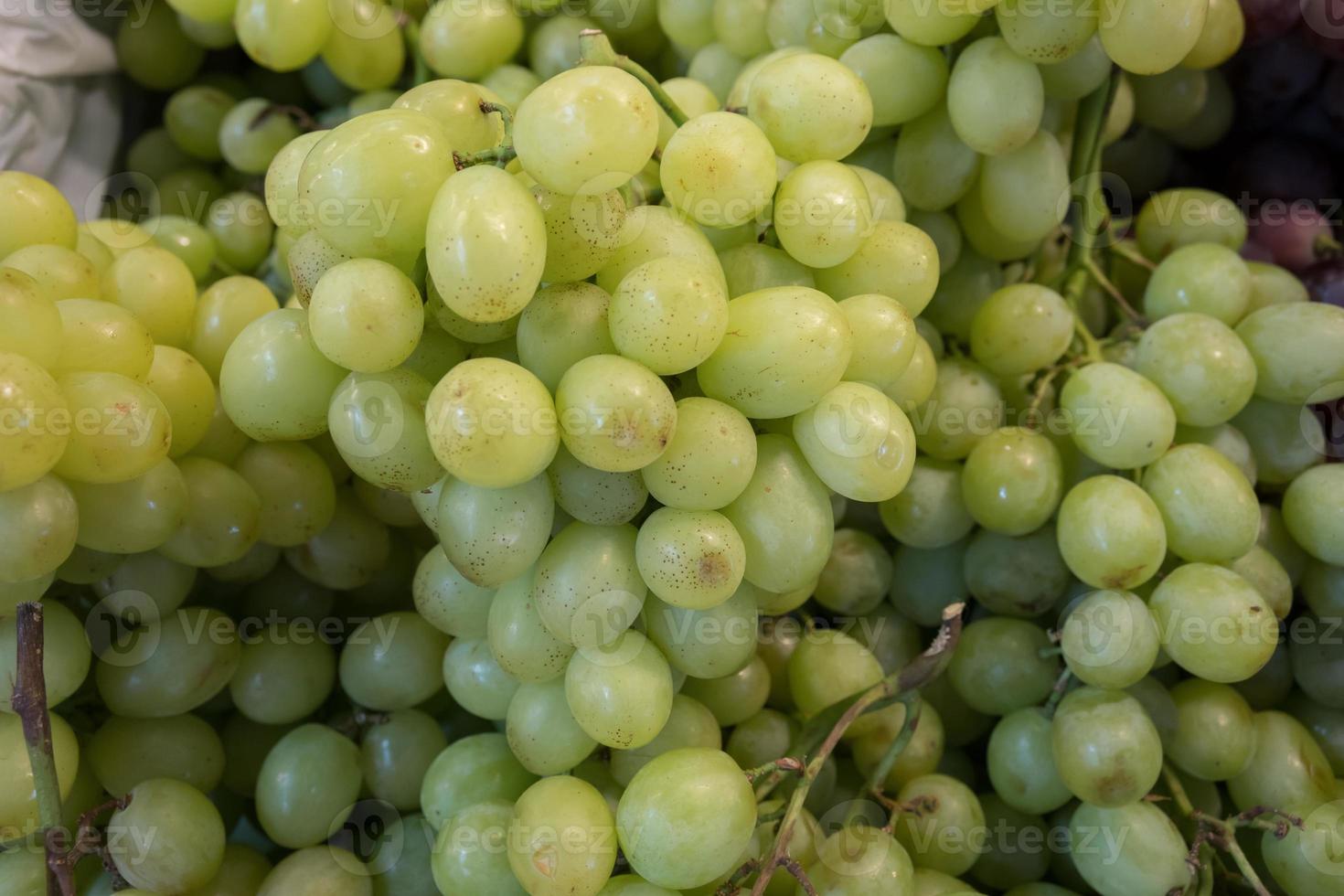 Group of green grapes photo