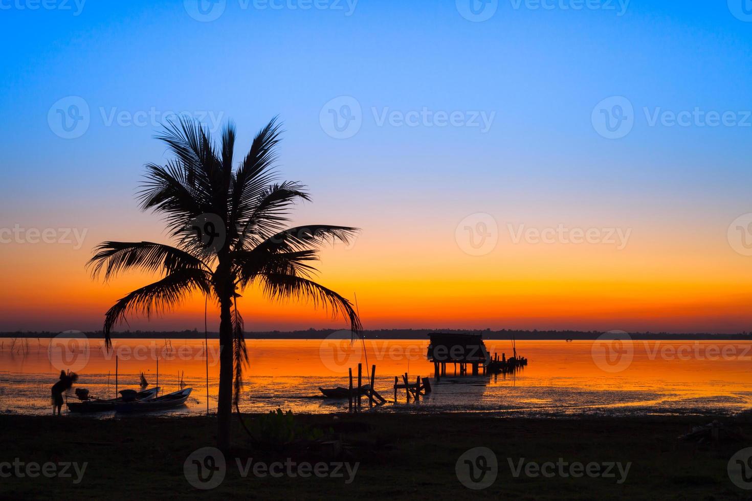 colorido atardecer con una palmera foto