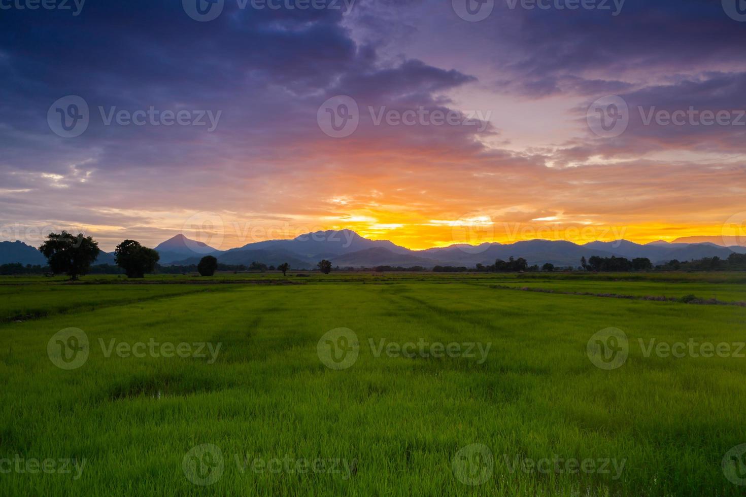 colorido atardecer sobre un campo verde foto